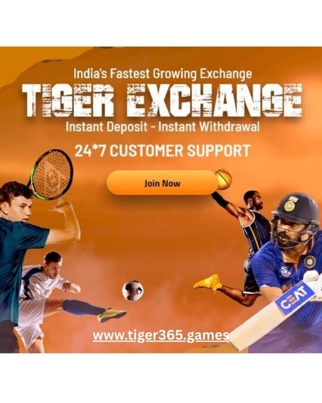 tiger exchange